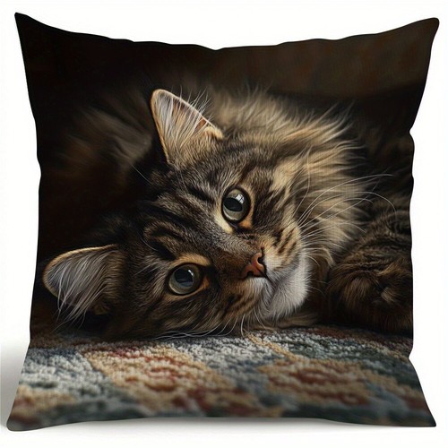 Fashion maine coon cat - maine, pattern