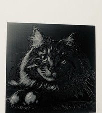 3D Printed Maine Coon Cat Wall