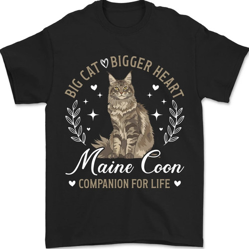 Maine coon companion - maine,