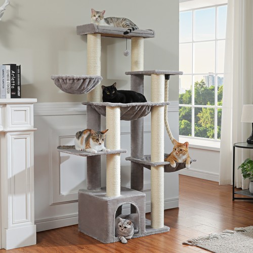 Pawz road maine coon cat - pawz,