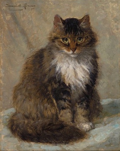 1800s antique maine coon cat - 1800s,