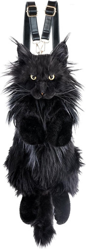 Maine coon cat - coon,