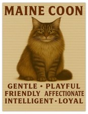 Maine Coon Cat Traits Cute