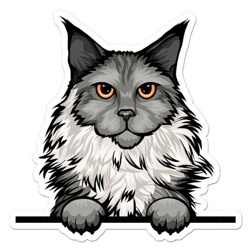 Peeking maine coon - maine, sticker