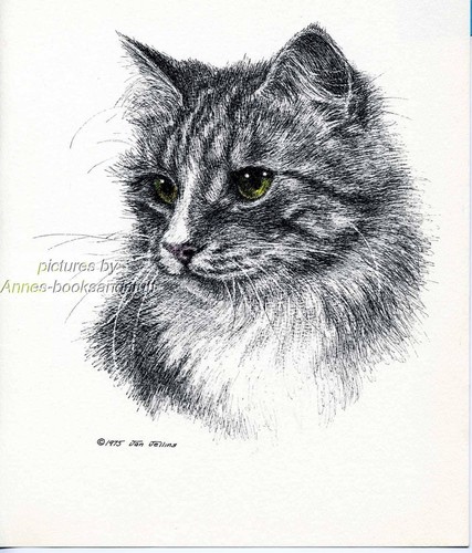 Maine coon cat portrait - #50,