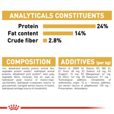 Royal Canin Maine Coon Adult