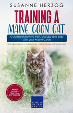 Training a Maine Coon Cat –