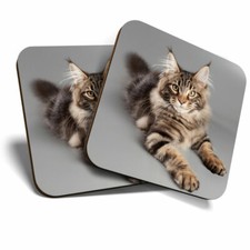 2 x Coasters - Cute Maine Coon