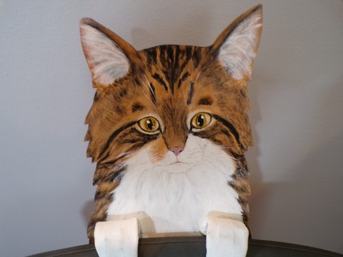 Maine coon cat pet artist - pet,