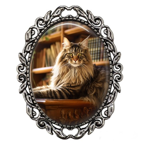 Exotic longhair maine coon cat - exotic,