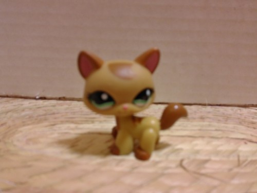 Littlest pet shop 1174 maine - pet, shop~#1174~maine