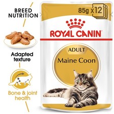 ROYAL CANIN Maine Coon Adult