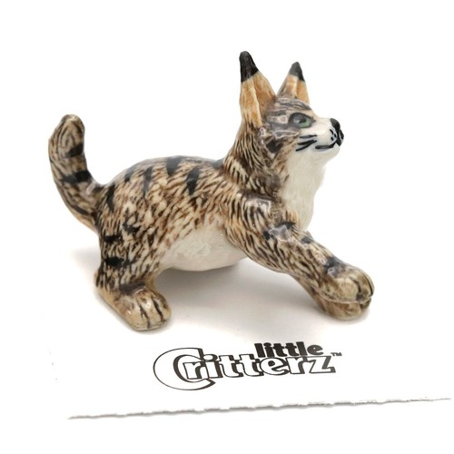 Little critterz cat maine - little,