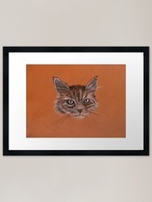 Maine Coon Cat - Chalk &