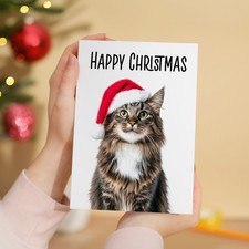 Maine Coon Cat Santa Hat