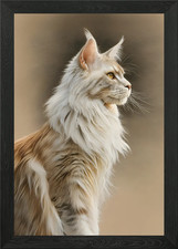 Majestic Maine Coon - Cat