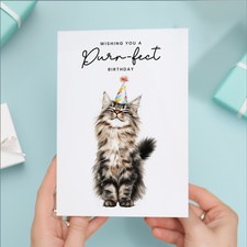 Maine Coon Cat Birthday Card