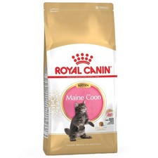 Royal Canin Maine Coon Kitten