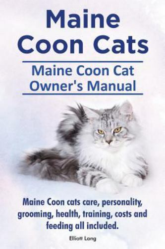Maine coon cats - maine,