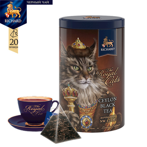 Maine coon richard royal cat - richard,
