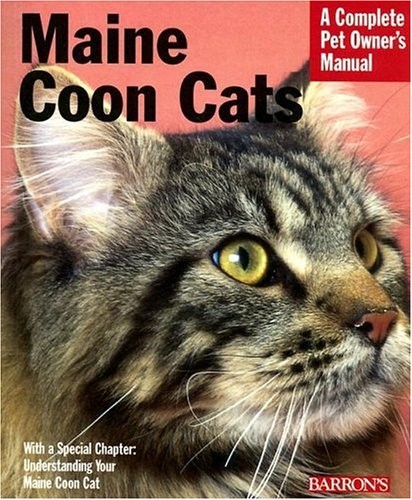 Maine coon cats complete - maine, pet