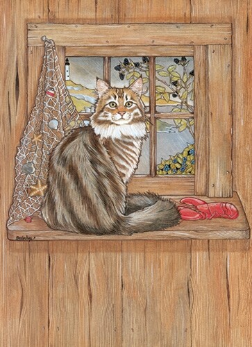 Maine coon cat - coon,