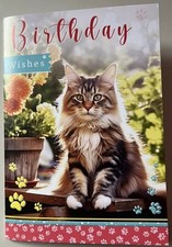 MAINE COON CUTE LONG HAIRED