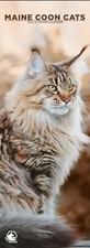 Maine Coon Cats Slim Wall