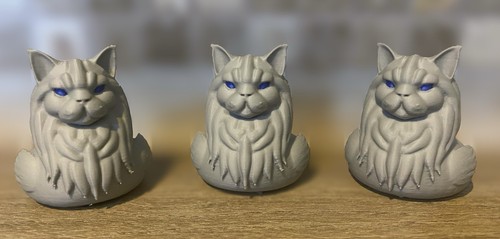 Maine coon cat - maine,